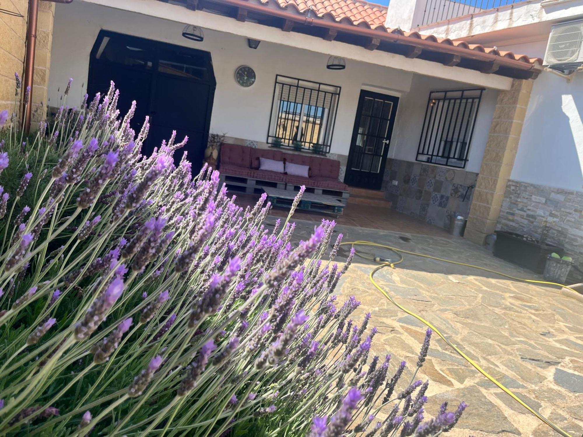 Casa Rural Valentina Almonacid de Toledo ภายนอก รูปภาพ